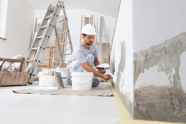 Forensic Mold Investigation in Fairfax, CA