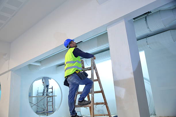 Best Attic Mold Removal  in Fairfax, CA